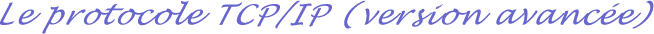 Le protocole TCP/IP et Internet (version avance)